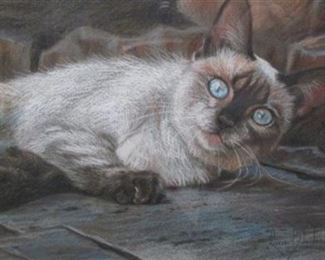 LUCIE BILODEAU ORIGINAL PENCIL OF A CAT TITLED "YOUNG SIAMESE". IMAGE AREA 11.5" X 7.5"