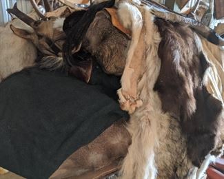 Tanned hides, Wolverine, Horsehide, fox, Coyotes, Raccoon, Deer, Black Bear