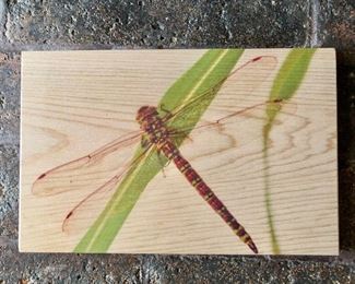 $12 Dragonfly wooden postcard.  8" W x 5.25" H. 