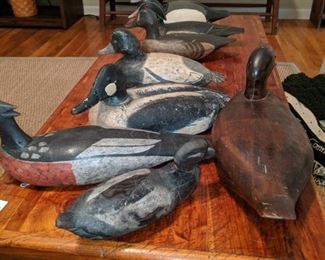 THE DUCKS SOME ARE FLOATERS AND SOME ARE WORKERS