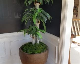 $225 / Large silk plant in brown planter on stainless stand. Measurements: 74" tall, 25" wide