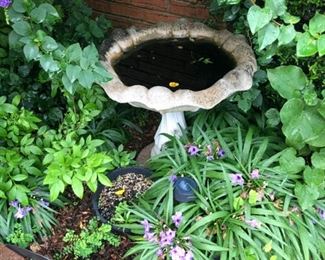 garden bird bath