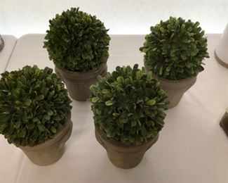 4 Pots with Boxwood Topiary