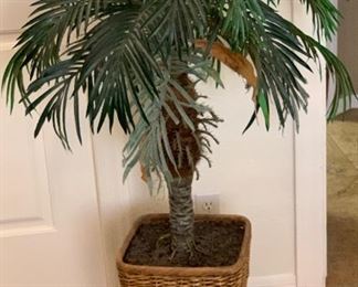 Faux Palm Plant wicker basket	45x23x23	HxWxD	PT133