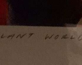 *Signed* Greg Gronowski Opulent World 1 Print Contemporary Cubist 33.75x33.75in HxWxD PT142