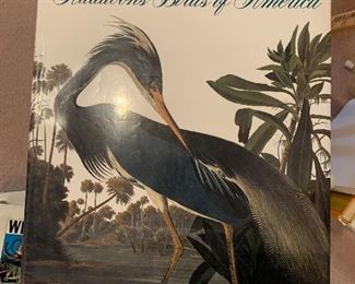 Baby Elephant Folio Audubon's Birds of North America