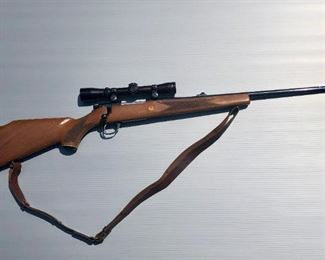 Colt .22 rifle