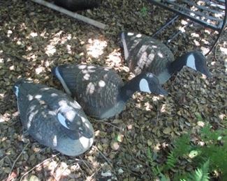 TONS of Decoys all sizes 
