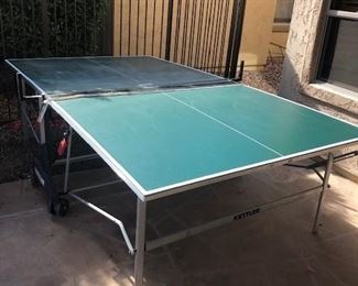 Ping Pong Anyone?