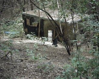 I don't know what's down there and I'm not going to find out. Way too spooky. And too many bugs. Snakes?   