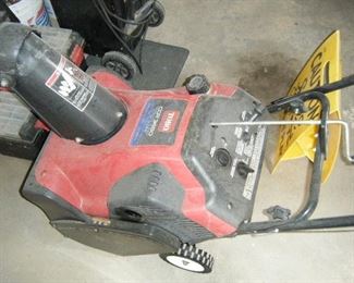 I have one like this and it works great on snow.