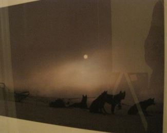 Steven Wilkes limited edition photograph.