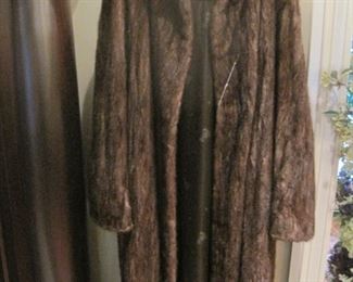 One of several furs. 