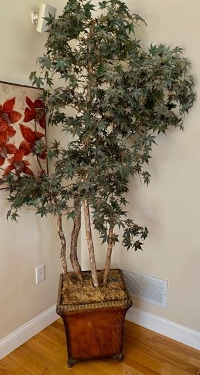 Japanese Maple Tree $100.00
Approximate
•Width:16” 
•Depth: 16”
•Height: 108”
Approximate weight: 20 lb. 
Base color: Rustic Brown