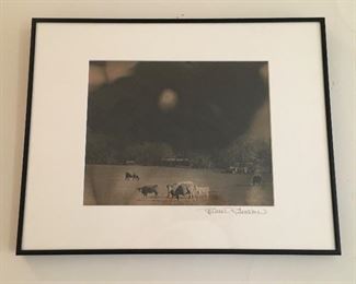 Moo You! Vestal Hollow, 1999. by Raeanne Rubenstein. Silver gelatin print, 18" x 14" including frame.