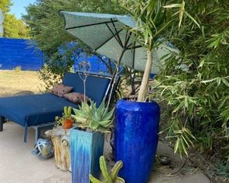 Patio plants and planters