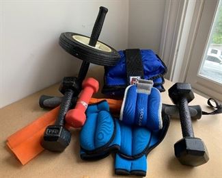 Item 204:  Lot of Exercise Equipment:  $26