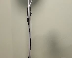 Item 115:  Adjustable Lamp - 69.5":  $30