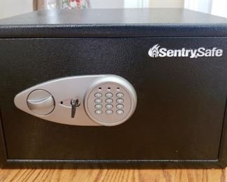 Sentry Safe: $35