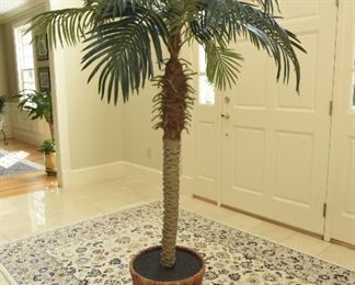 Potted faux palm  $65
6’8” tall