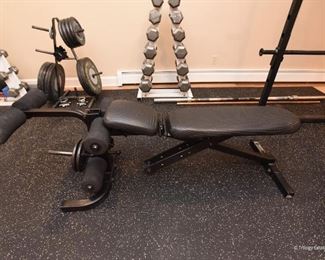 BioDyne Weight Bench With Leg Curl  $65