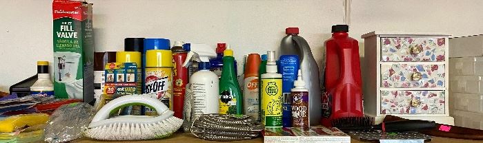 Assorted Cleaning Agents
