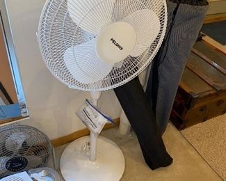 $20 PELONIS FLOOR FAN 
