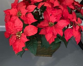 $12 POINSETTIA