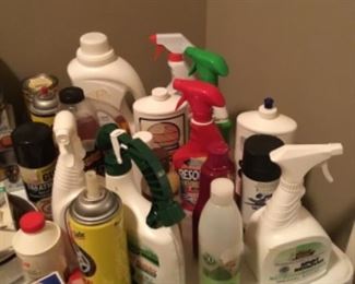 Cleaning items