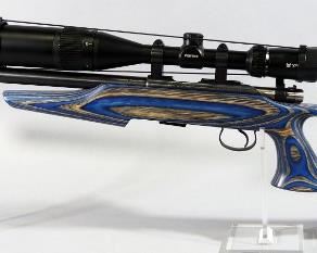 CZ 455 .22 LR Bolt Action Rifle SN# B049379, Vortex Crossfire 6-18x44 Scope, Evolution Stock