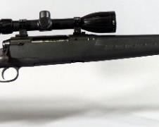 Savage Axis .22-250 REM Bolt Action Rifle SN# J654801, With BSA 4-12 x 40 Scope