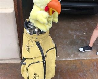 Full set of ladies Gosen Clubs and bag -Japanese brand $100