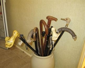 Cane collection