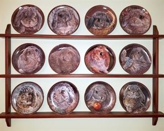 The Bradford Exchange Bunny Tales 12 plate collection with rack (sold as one lot)
