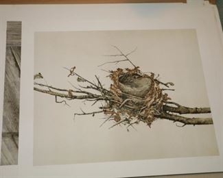 Hubert Shuptrine print, Nest, signed and numbered.  