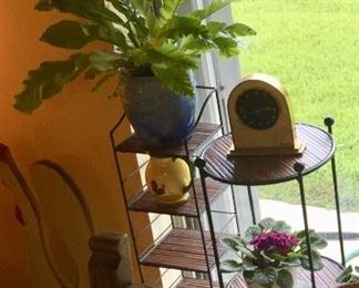 Small Plants & Plant Stands