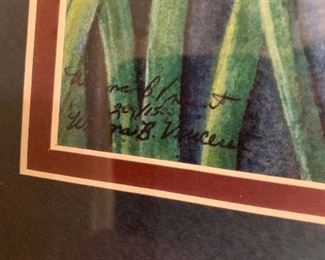 Jonquils or daffodils by Vincent