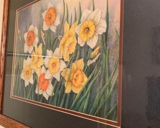Daffodils