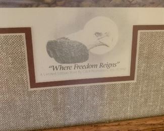 Where Freedom Reigns- framed with stamps and coins