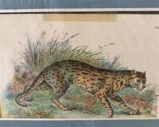 Many Vintage Lithographs and Prints