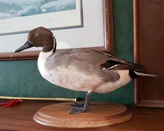 Duck mount