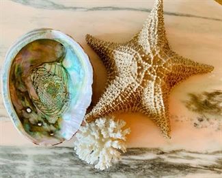 $45 Lot: coral, starfish and abalone shell. Starfish is approximately 10" across