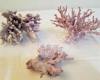 Purple and Rose Pink Coral