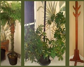 Tall Faux Palm, One of Many Real Plants for sale and Wooden Coat Rack
