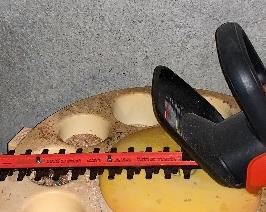 Item 260:  Black & Decker Hedge Trimmer: $35