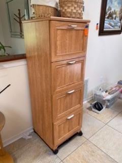 $46 File cabinet on casters