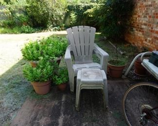 chairs, tables, plants