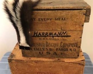 Antique Dynamite Box, Biscuit Box and Skunk Pelt