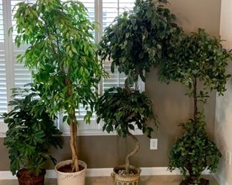$120.00  Artificial Trees. 4ft”H. 7ft”H. 7ft”H. 6ft”H.