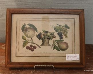 Fruit Botanical Print $12
Approximately 5x7